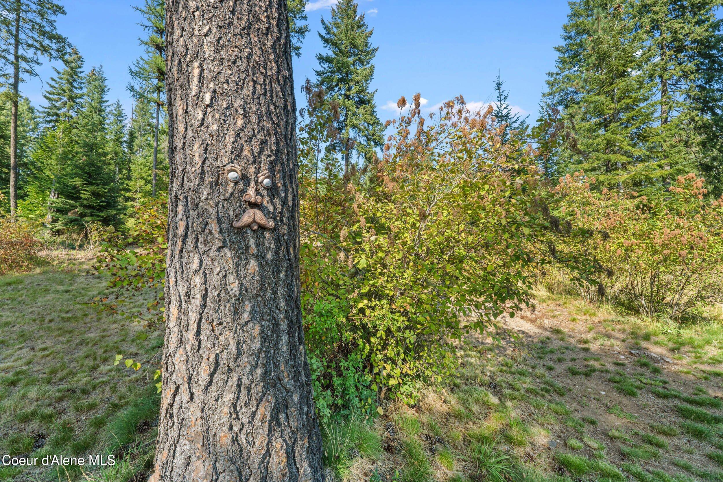 1702 Eastside Road Priest River, ID 83856 - Photo 67 of 75 67-1702 eastside rd-priest river