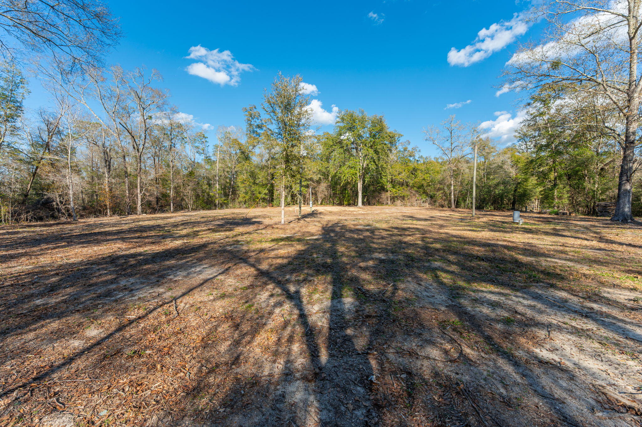 1520 Brunson Road Caryville, FL 32427 - Photo 11 of 30 19