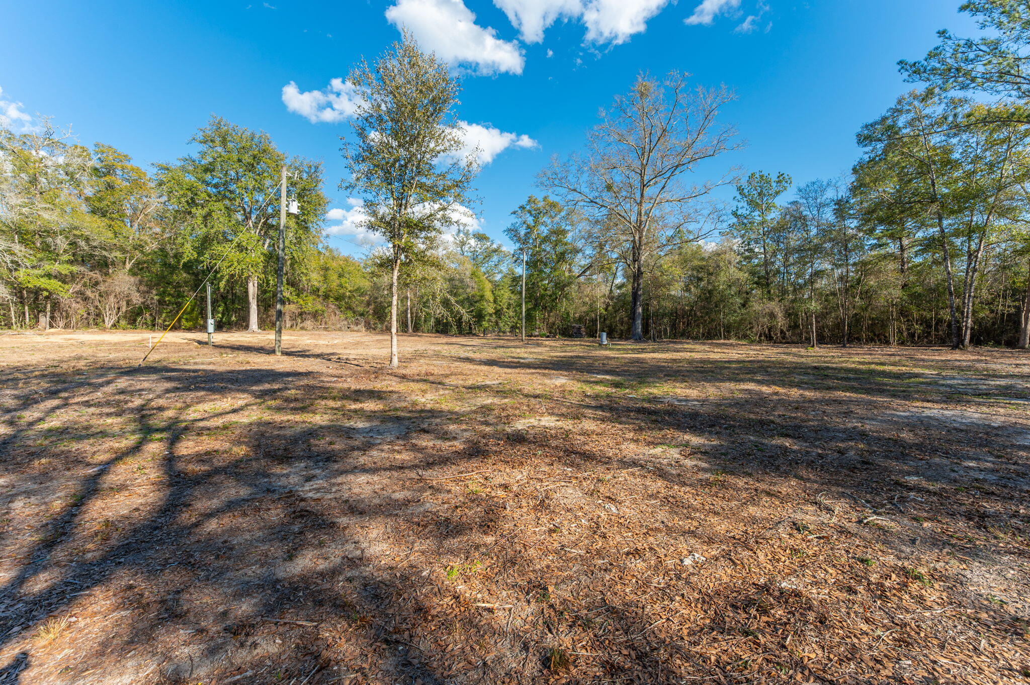 1520 Brunson Road Caryville, FL 32427 - Photo 12 of 30 20