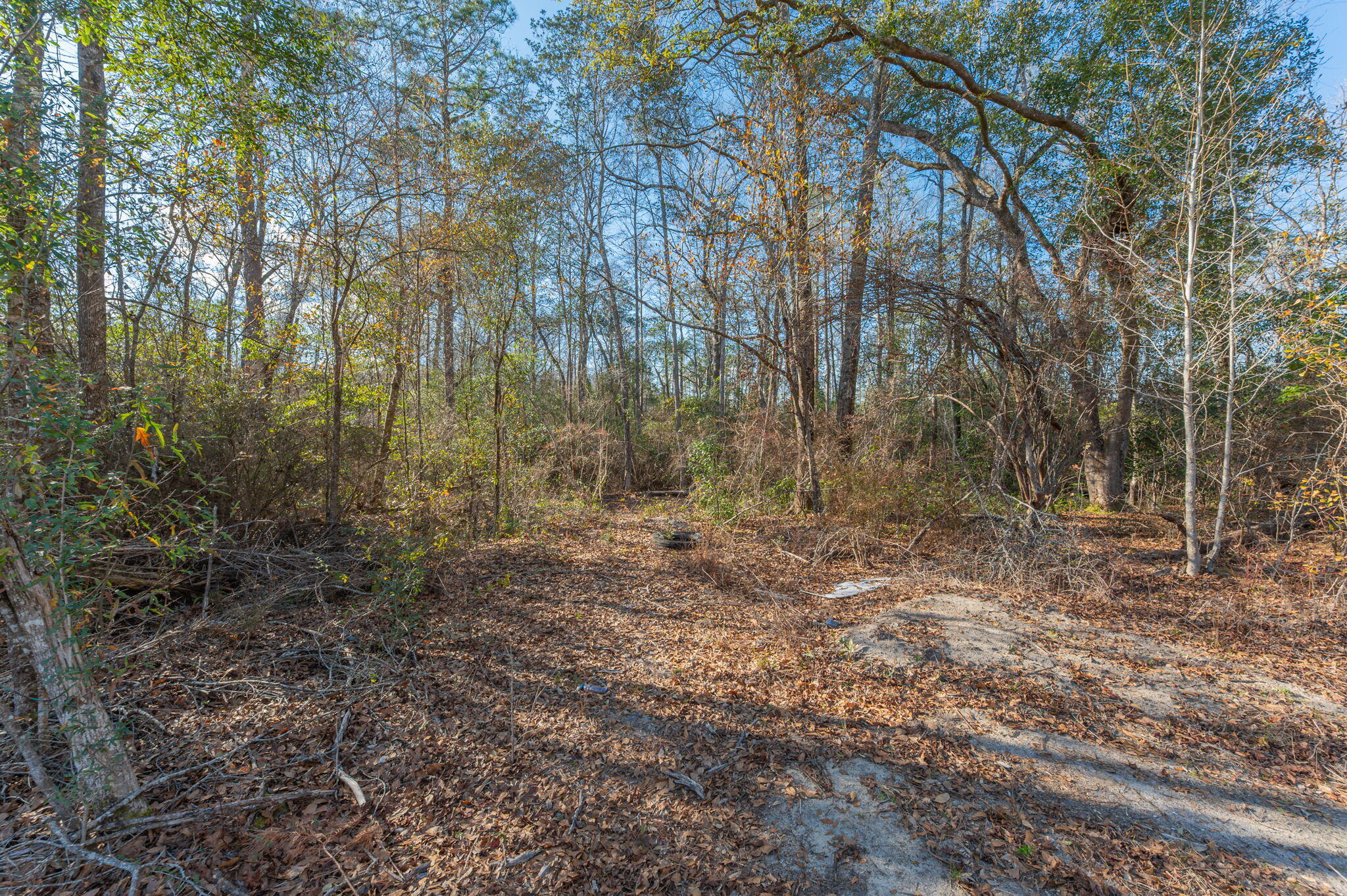 1520 Brunson Road Caryville, FL 32427 - Photo 20 of 30 21
