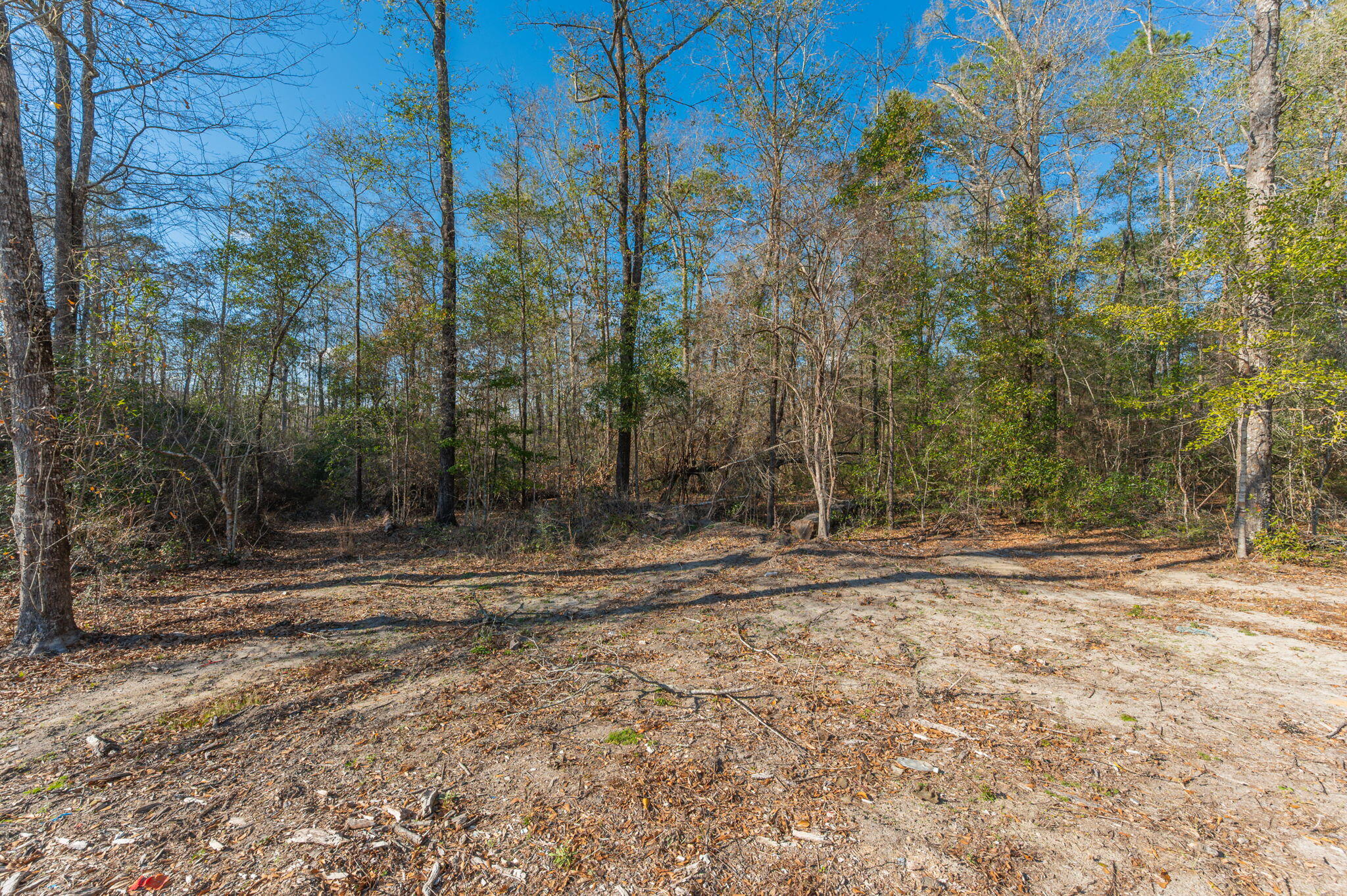 1520 Brunson Road Caryville, FL 32427 - Photo 22 of 30 23