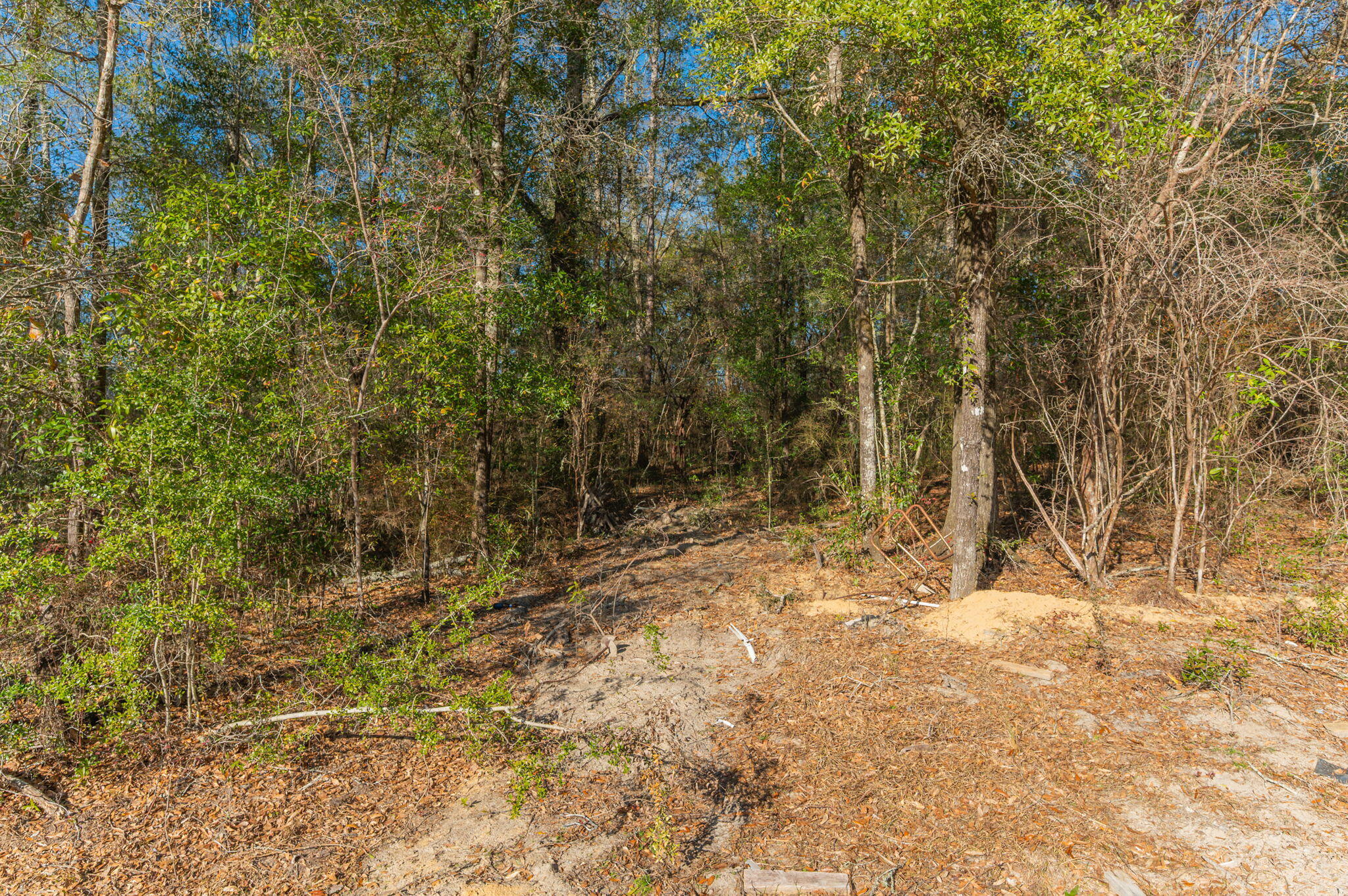 1520 Brunson Road Caryville, FL 32427 - Photo 24 of 30 26