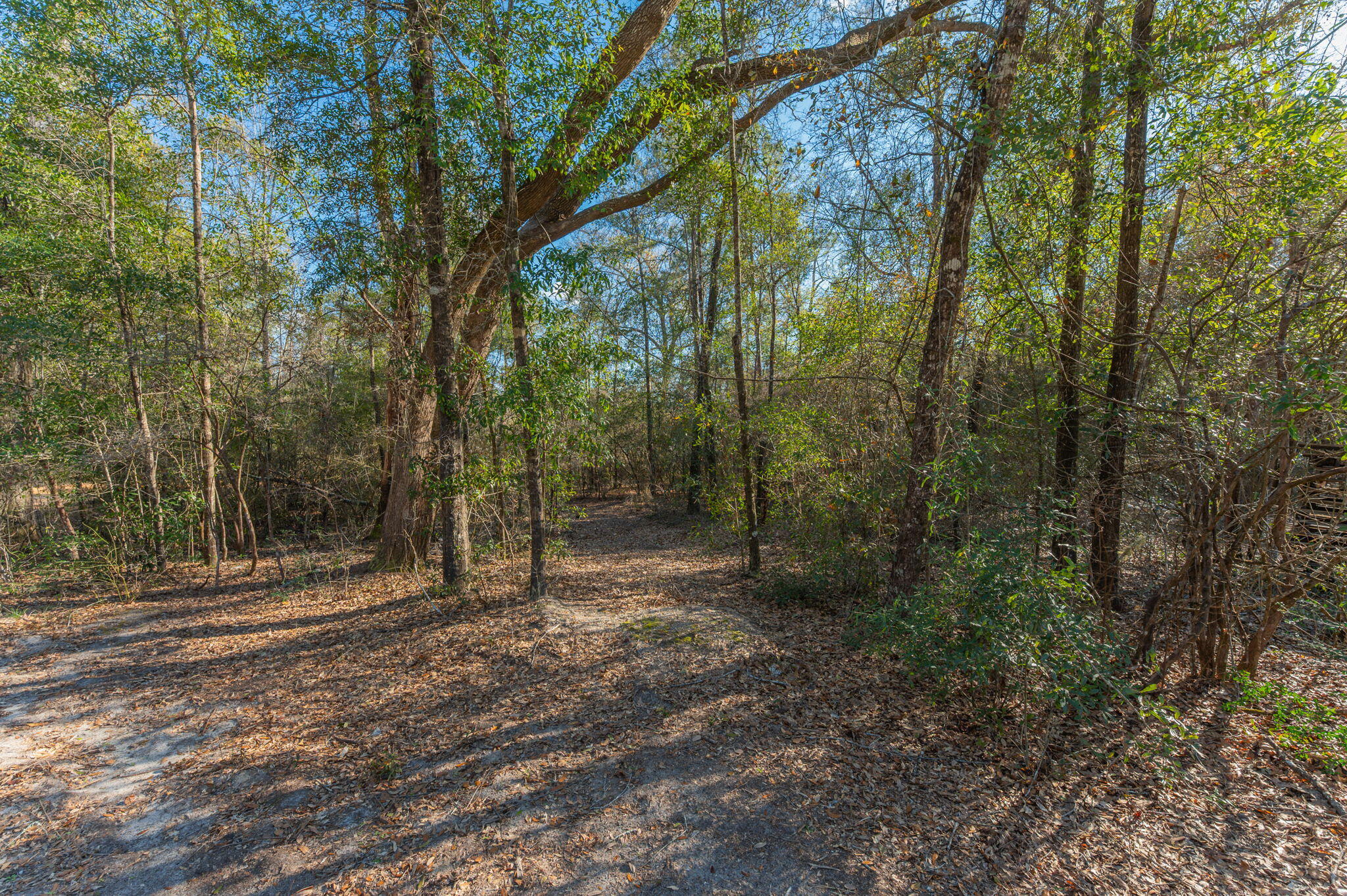 1520 Brunson Road Caryville, FL 32427 - Photo 26 of 30 28