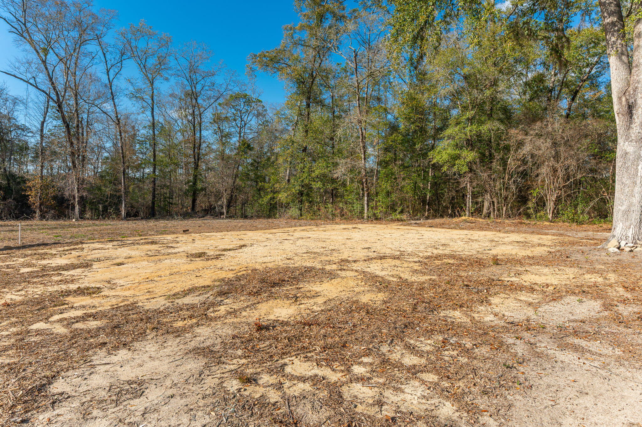 1520 Brunson Road Caryville, FL 32427 - Photo 5 of 30 14