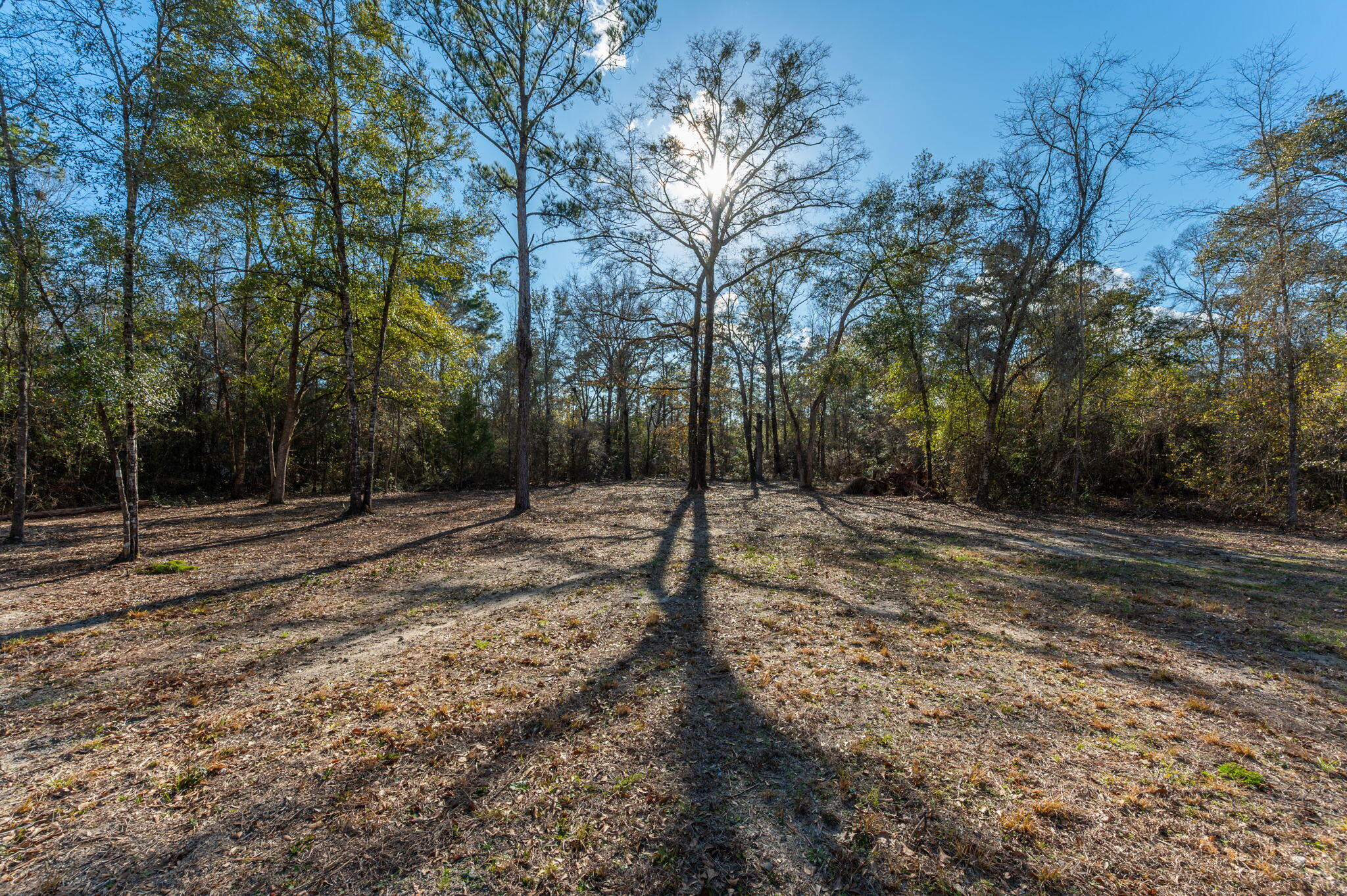 1520 Brunson Road Caryville, FL 32427 - Photo 9 of 30 17