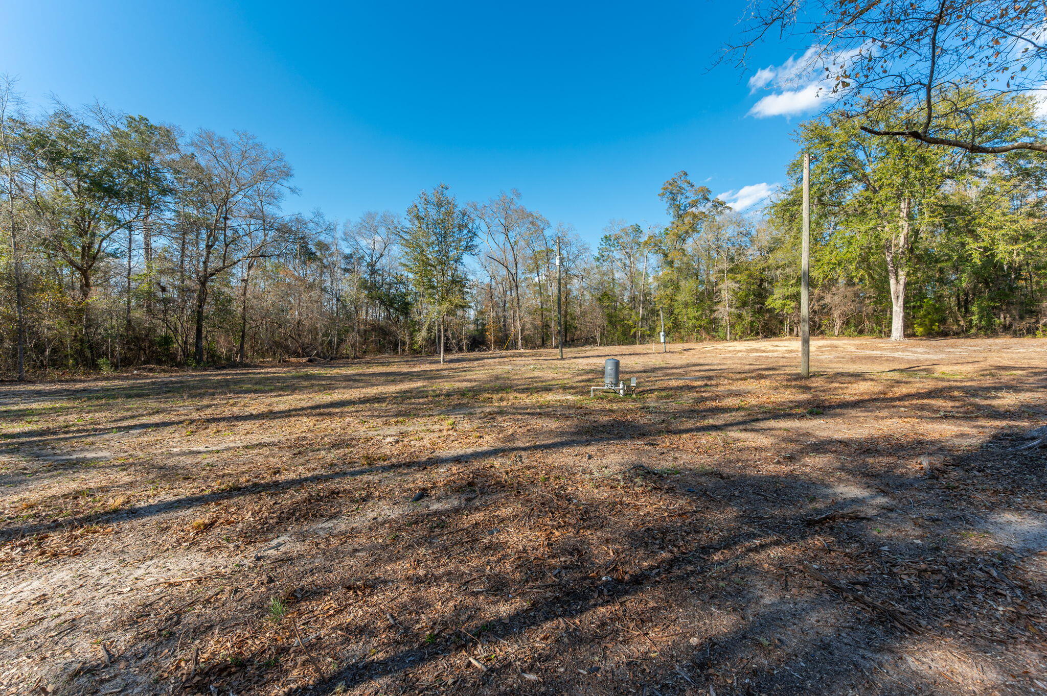 1520 Brunson Road Caryville, FL 32427 - Photo 10 of 30 18