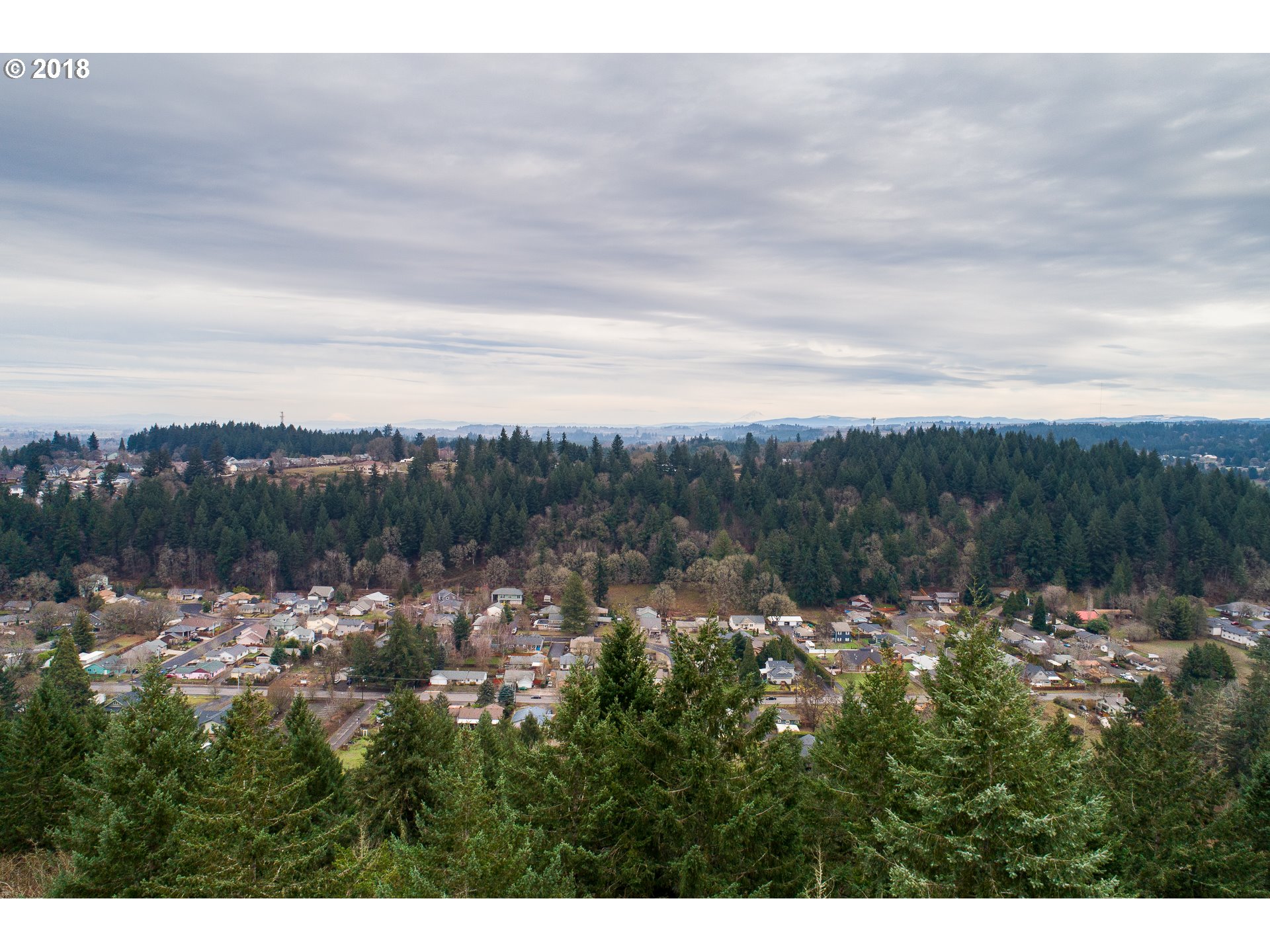 4550 Victor Point Road Northeast Silverton, OR 97381 - Photo 3 of 13