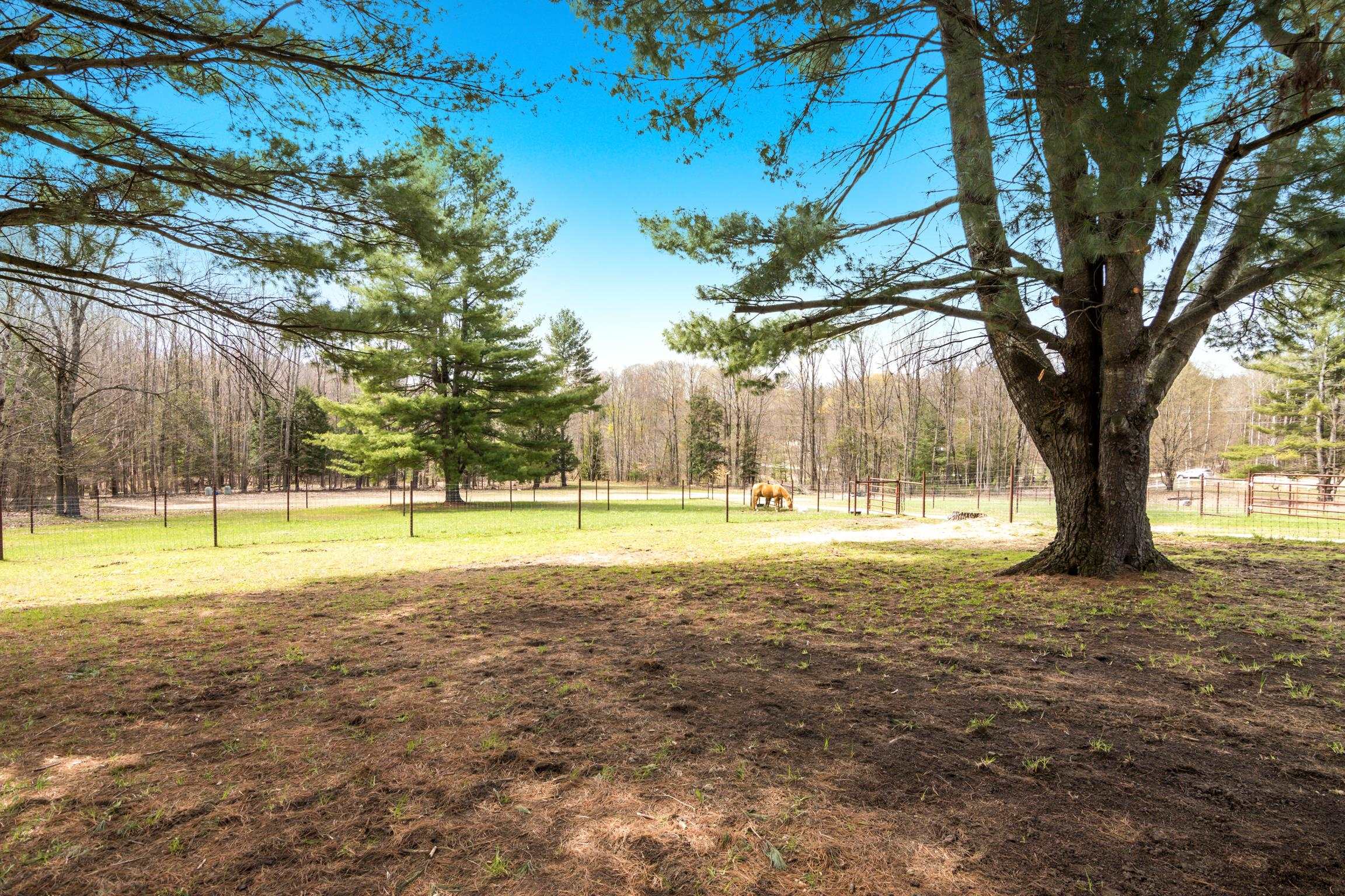 8124 Crisp Road Williamsburg, MI 49690 - Photo 57 of 67