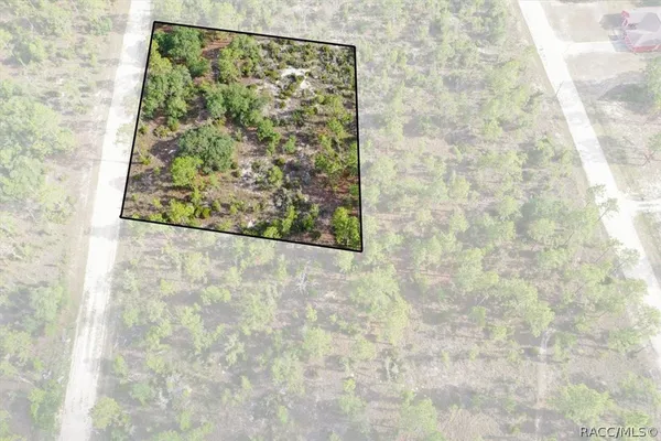 $44,000 | 0 Northeast 132nd Terrace, Williston, FL 32696
