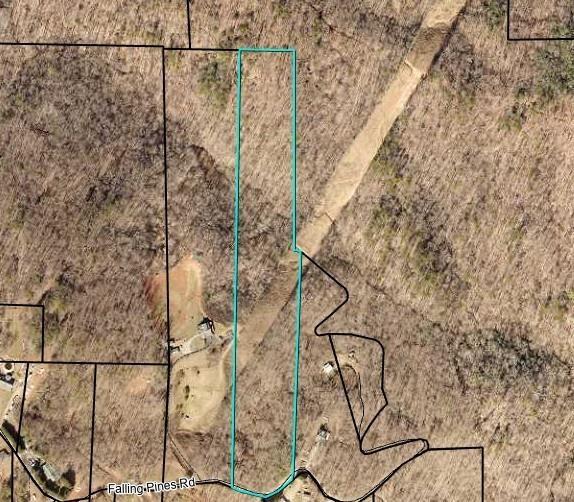 0 Falling Pines Road Dahlonega, GA 30533 - Photo 1 of 10