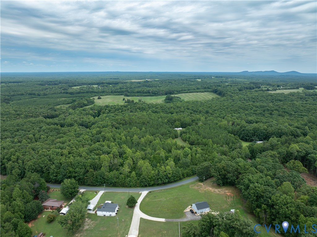 724 Perkins Mill Road Dillwyn, VA 23936 - Photo 3 of 10 Expansive wooded landscape featuring a paved resid
