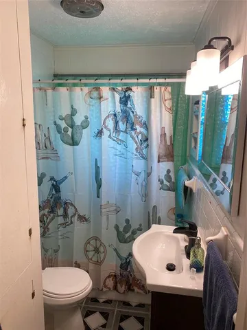 a bathroom with a sink a toilet and shower curtain