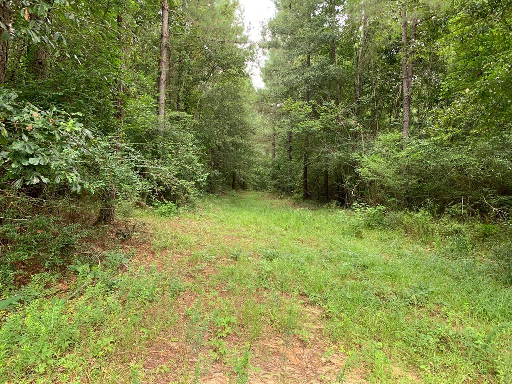 . Ward Jackson Road Summit, MS 39666 - Photo 1 of 11 Main View