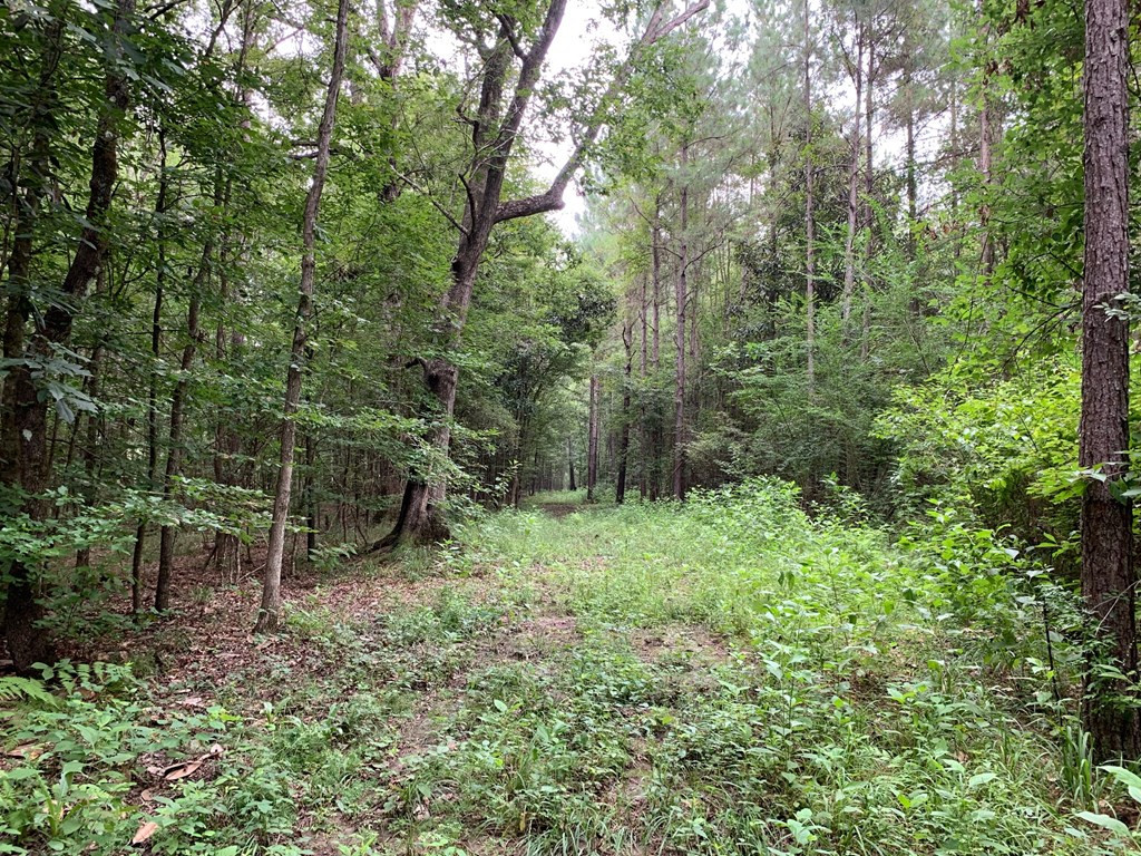 . Ward Jackson Road Summit, MS 39666 - Photo 11 of 11 Photo 11