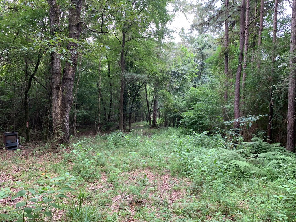 . Ward Jackson Road Summit, MS 39666 - Photo 5 of 11 Photo 5