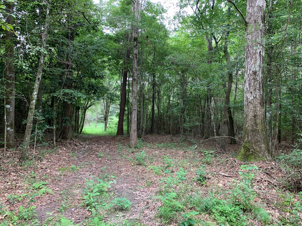. Ward Jackson Road Summit, MS 39666 - Photo 6 of 11 Photo 6