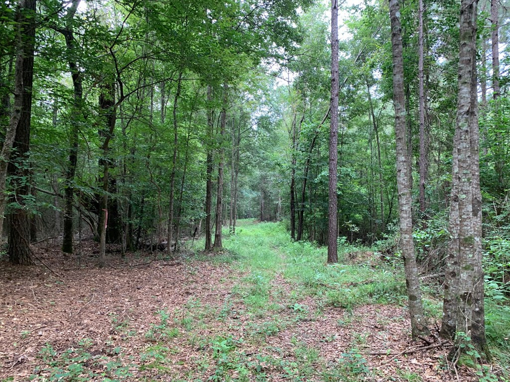 . Ward Jackson Road Summit, MS 39666 - Photo 7 of 11 Photo 7