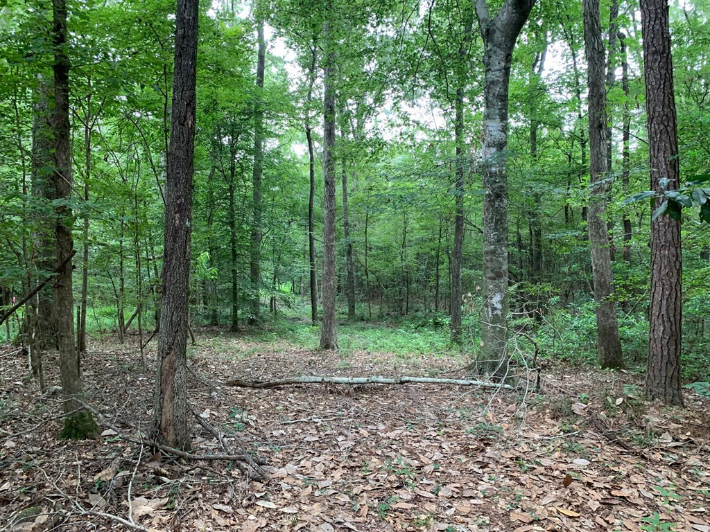 . Ward Jackson Road Summit, MS 39666 - Photo 10 of 11 Photo 10