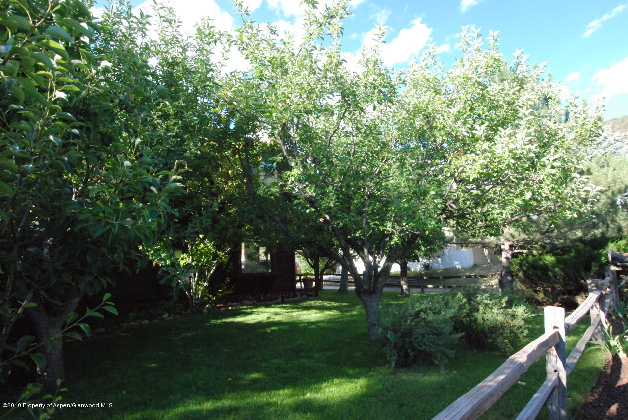 40 B Riversedge Court Basalt, CO 81621 - Photo 3 of 11 a view of a park with large trees
