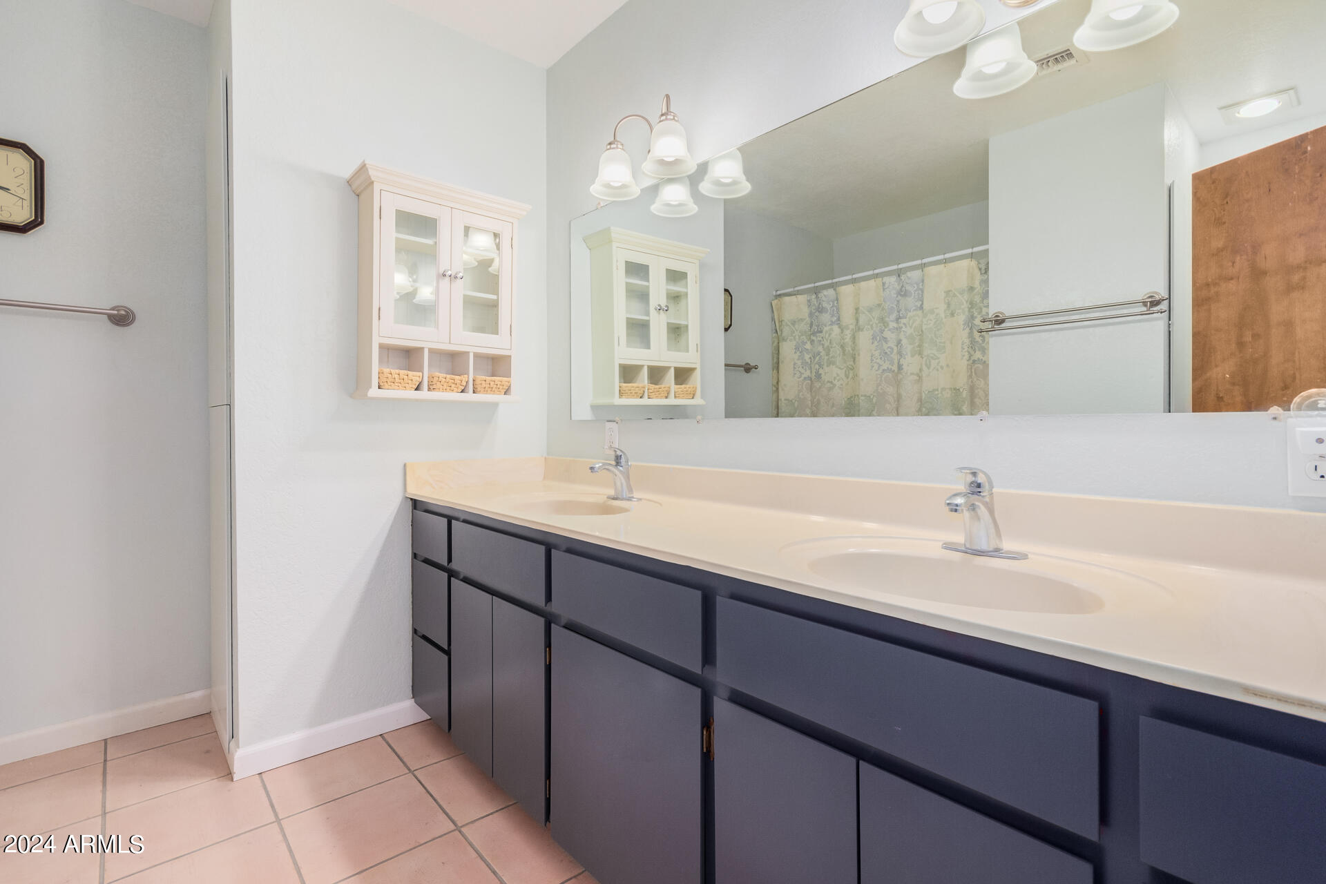 10337 East Brown Road Mesa, AZ 85207 - Photo 9 of 34 Bathroom 1