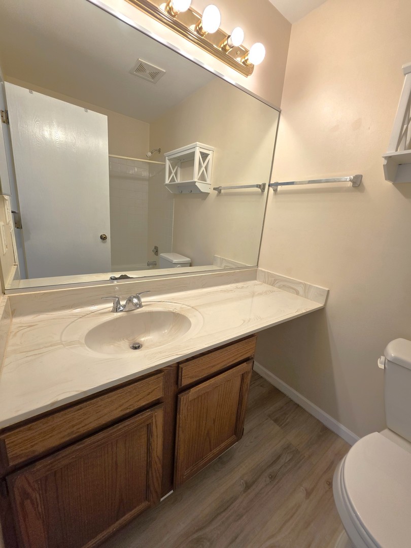 205 Auburn Court, Unit 205 St. Charles, IL 60174 - Photo 12 of 16 a bathroom with a sink a toilet a mirror and vanity