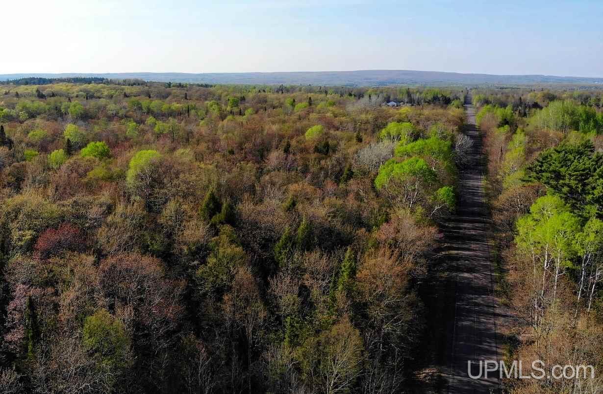 Tbd Rauhala Road, Unit PARCEL 7 Atlantic Mine, MI 49931 - Photo 4 of 15