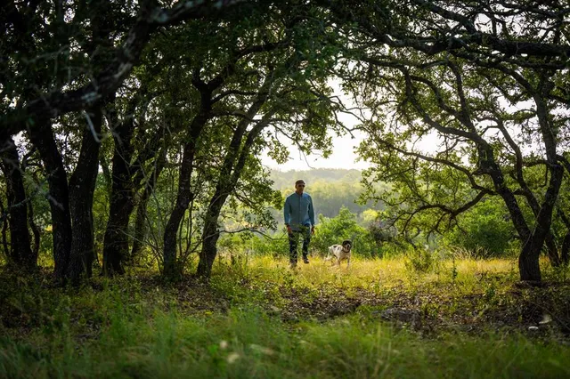 a backyard of a house with lots of green space