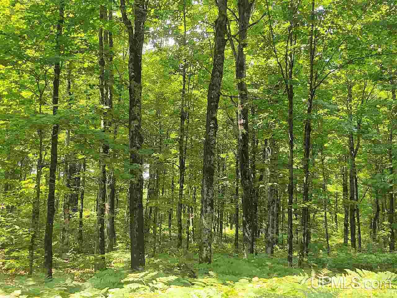Tbd Connors Road Iron River, MI 49935 - Photo 22 of 34