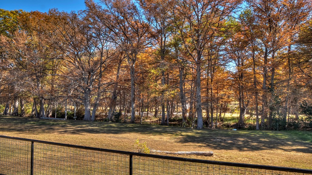 6454 Highway 83 Leakey, TX 78873 - Photo 13 of 74 a view of yard with trees