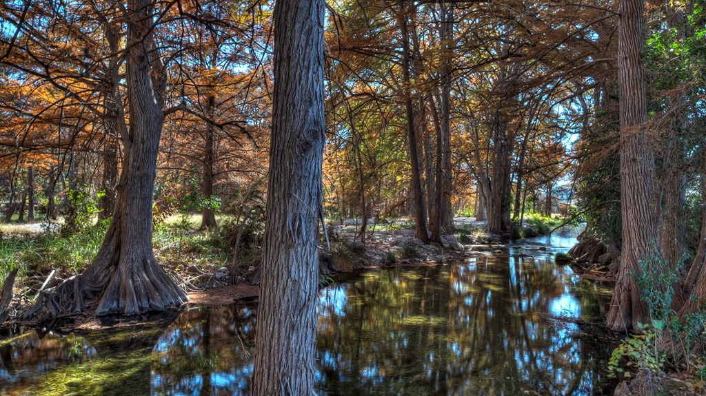 6454 Highway 83 Leakey, TX 78873 - Photo 15 of 74 a view of outdoor space and trees