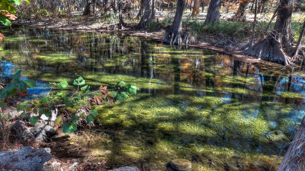 6454 Highway 83 Leakey, TX 78873 - Photo 16 of 74