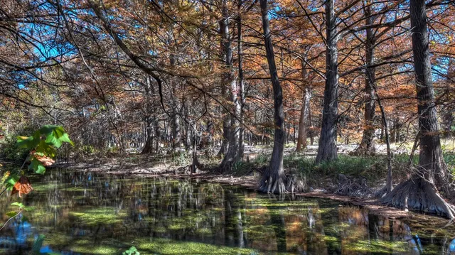 a living room with furniture kitchen view and a large window