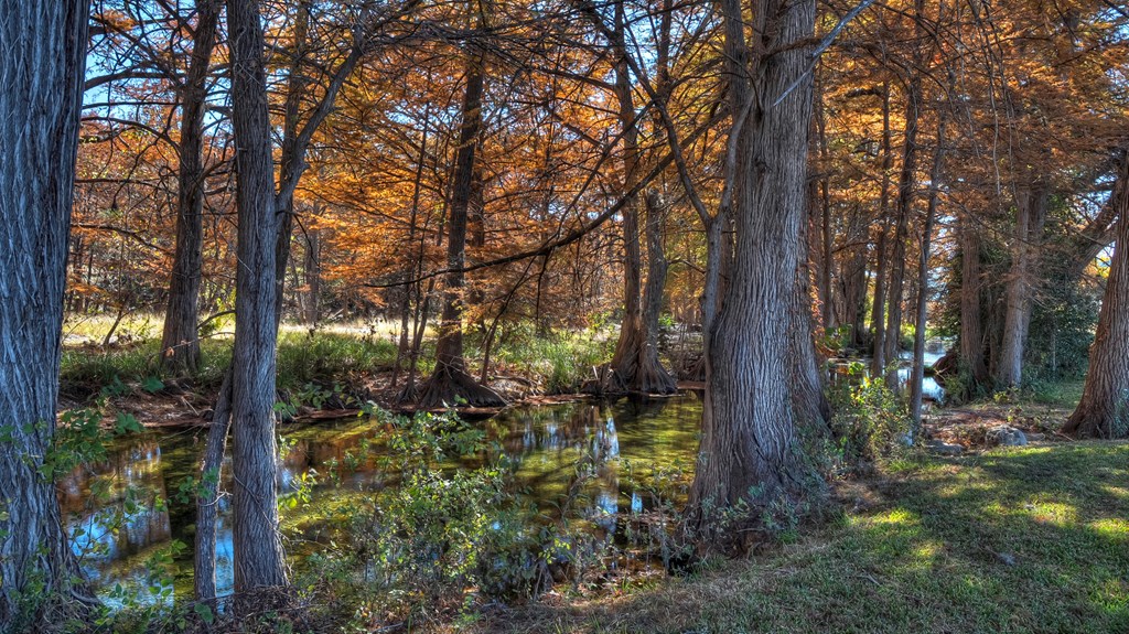 6454 Highway 83 Leakey, TX 78873 - Photo 19 of 74 a backyard of a house with lots of green space