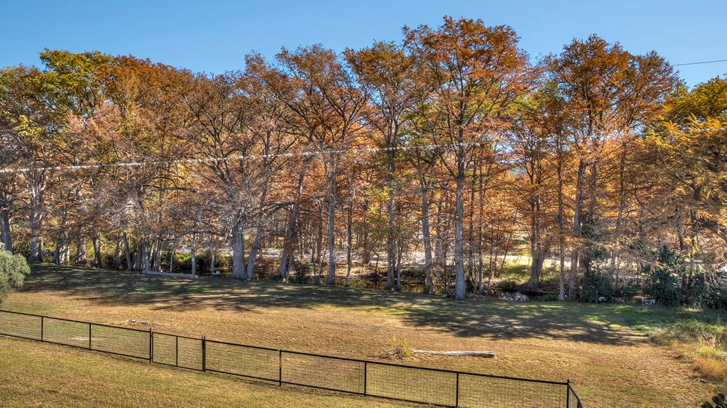 6454 Highway 83 Leakey, TX 78873 - Photo 69 of 74 a view of yard with tree s