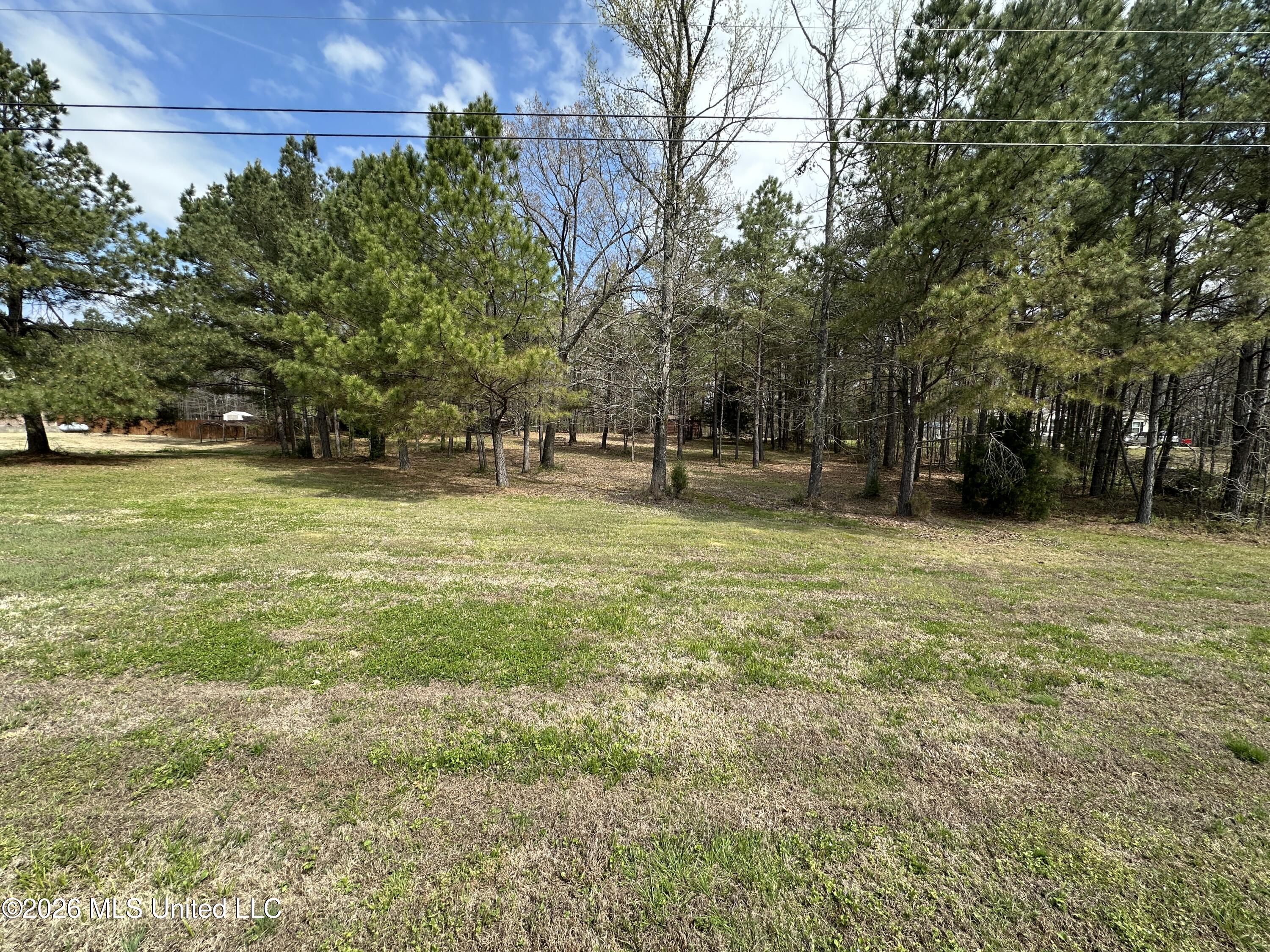 107 Humming Bird Lane Byhalia, MS 38611 - Photo 29 of 33 IMG_9311