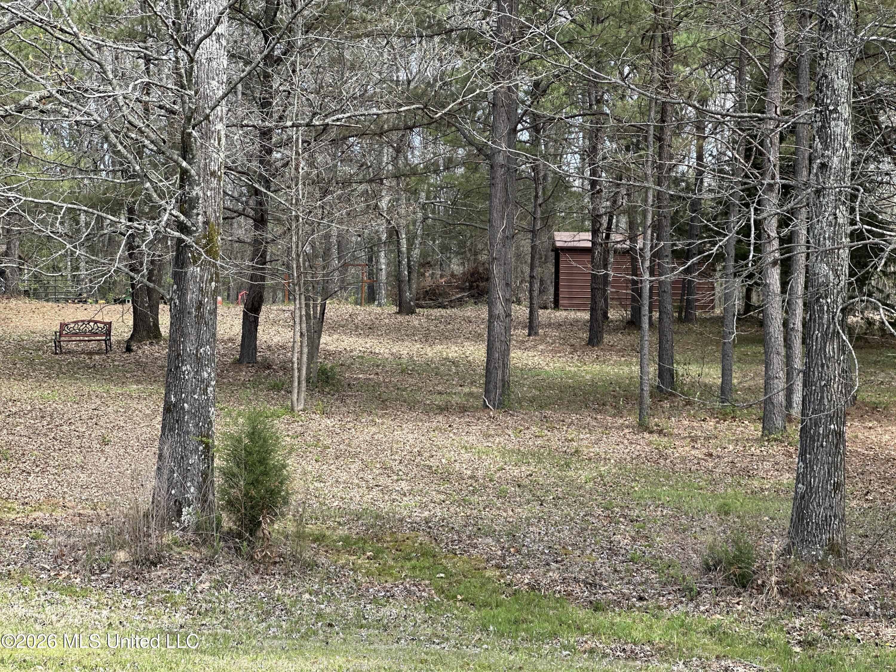 107 Humming Bird Lane Byhalia, MS 38611 - Photo 31 of 33 IMG_9314