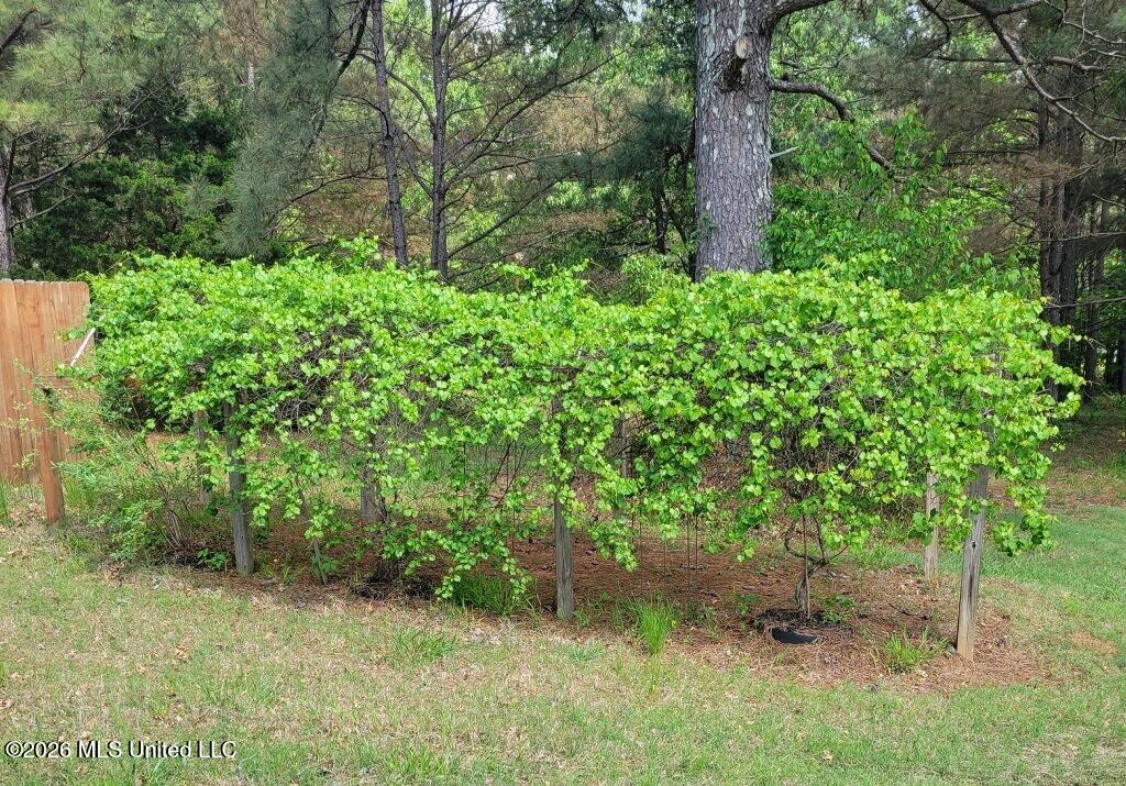 107 Humming Bird Lane Byhalia, MS 38611 - Photo 32 of 33 imagejpeg_0 (1)