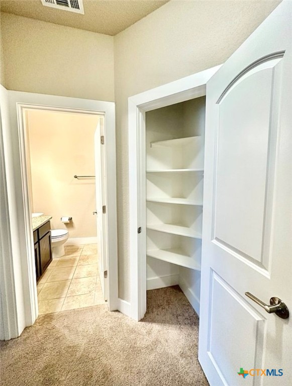 405 High Tech Drive, Unit 9A Georgetown, TX 78626 - Photo 15 of 27 upstairs bath and hall closet