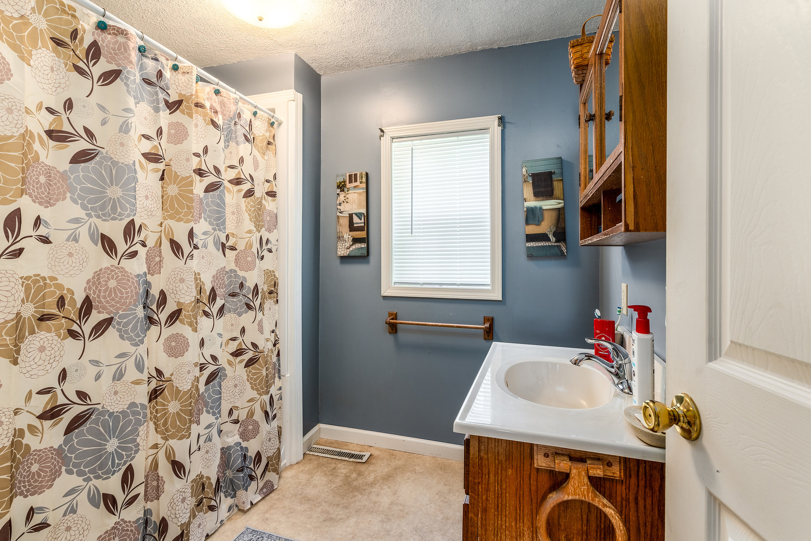202 South Ervin Street Pittsburg, IL 62974 - Photo 18 of 42 a bathroom with a sink and a mirror