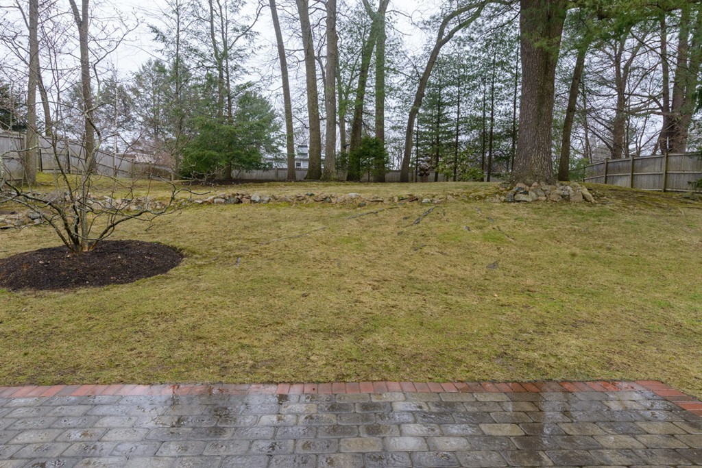 14 Alba Road Wellesley, MA 02481 - Photo 2 of 24 a view of a yard with trees