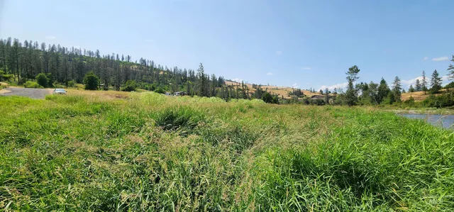 $249,000 | Tbd Luke's Gulch Road, Stites, ID 83552