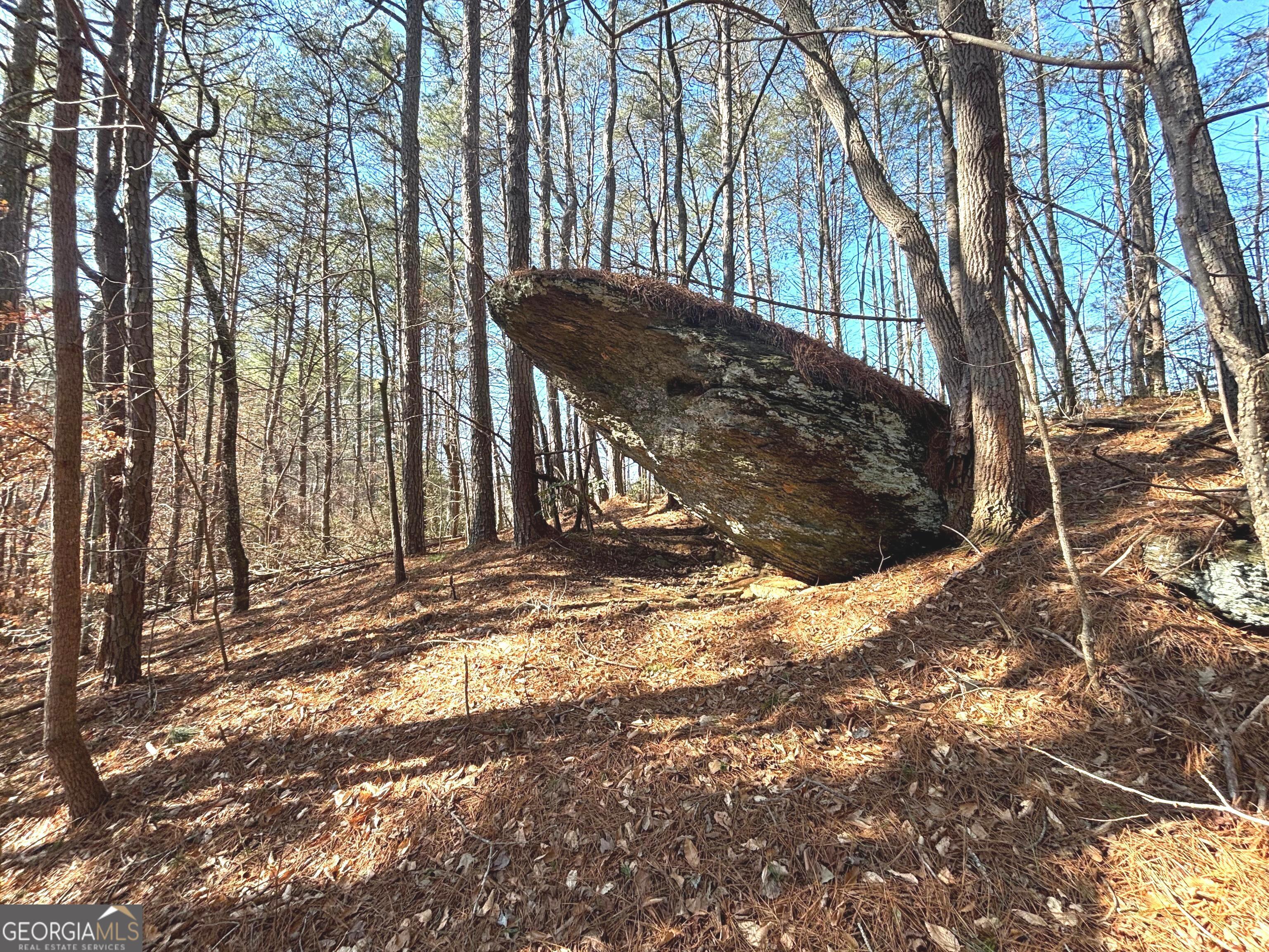 114 Addington Lane, Unit 5 Waleska, GA 30183 - Photo 18 of 35 a view of a yard with plants and trees