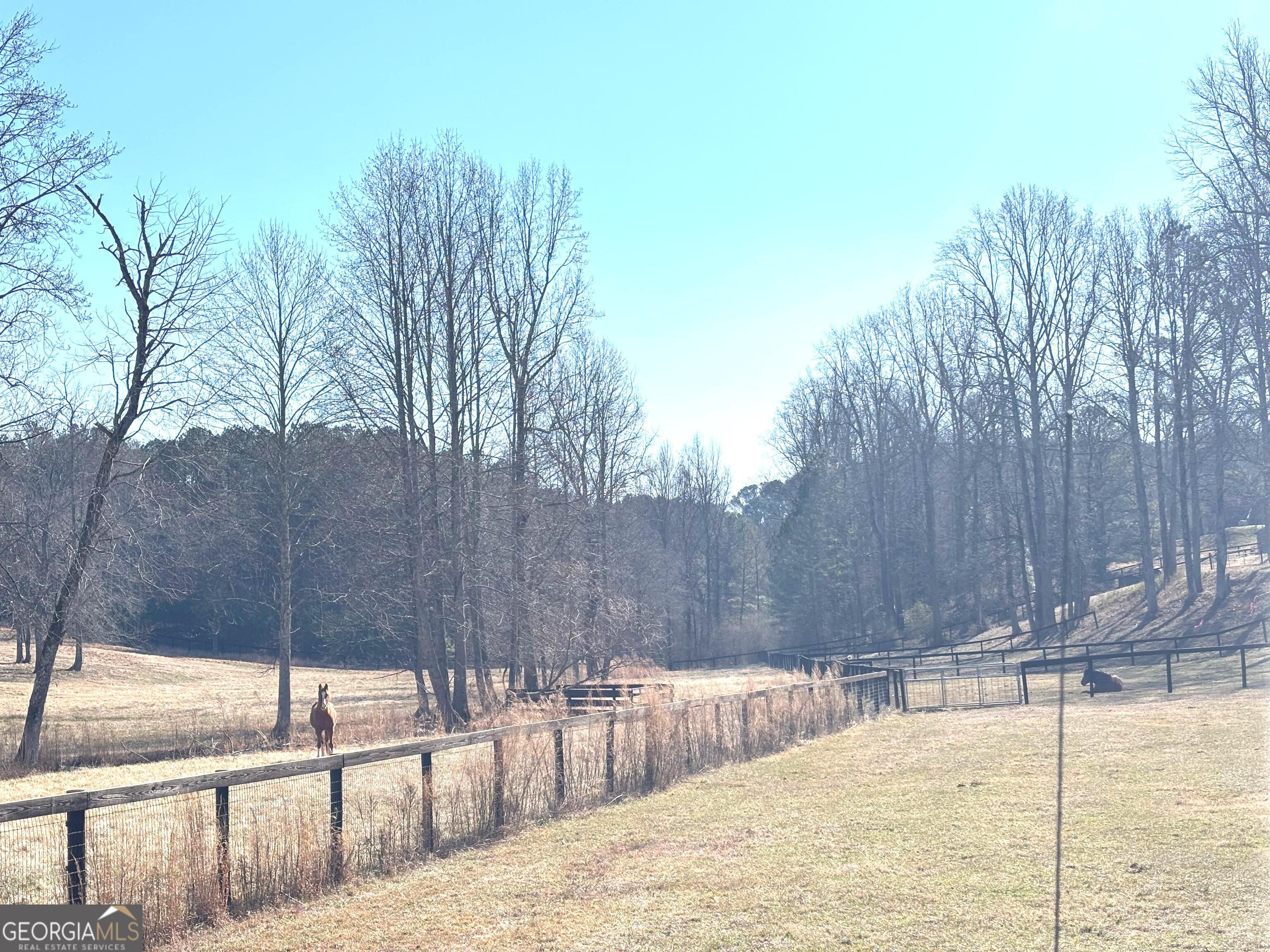 114 Addington Lane, Unit 5 Waleska, GA 30183 - Photo 20 of 35 a view of a backyard