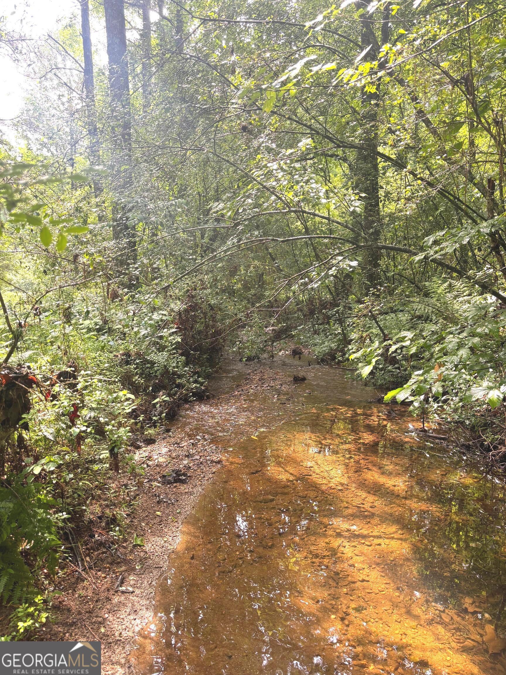114 Addington Lane, Unit 5 Waleska, GA 30183 - Photo 23 of 35 a view of a field of the tree