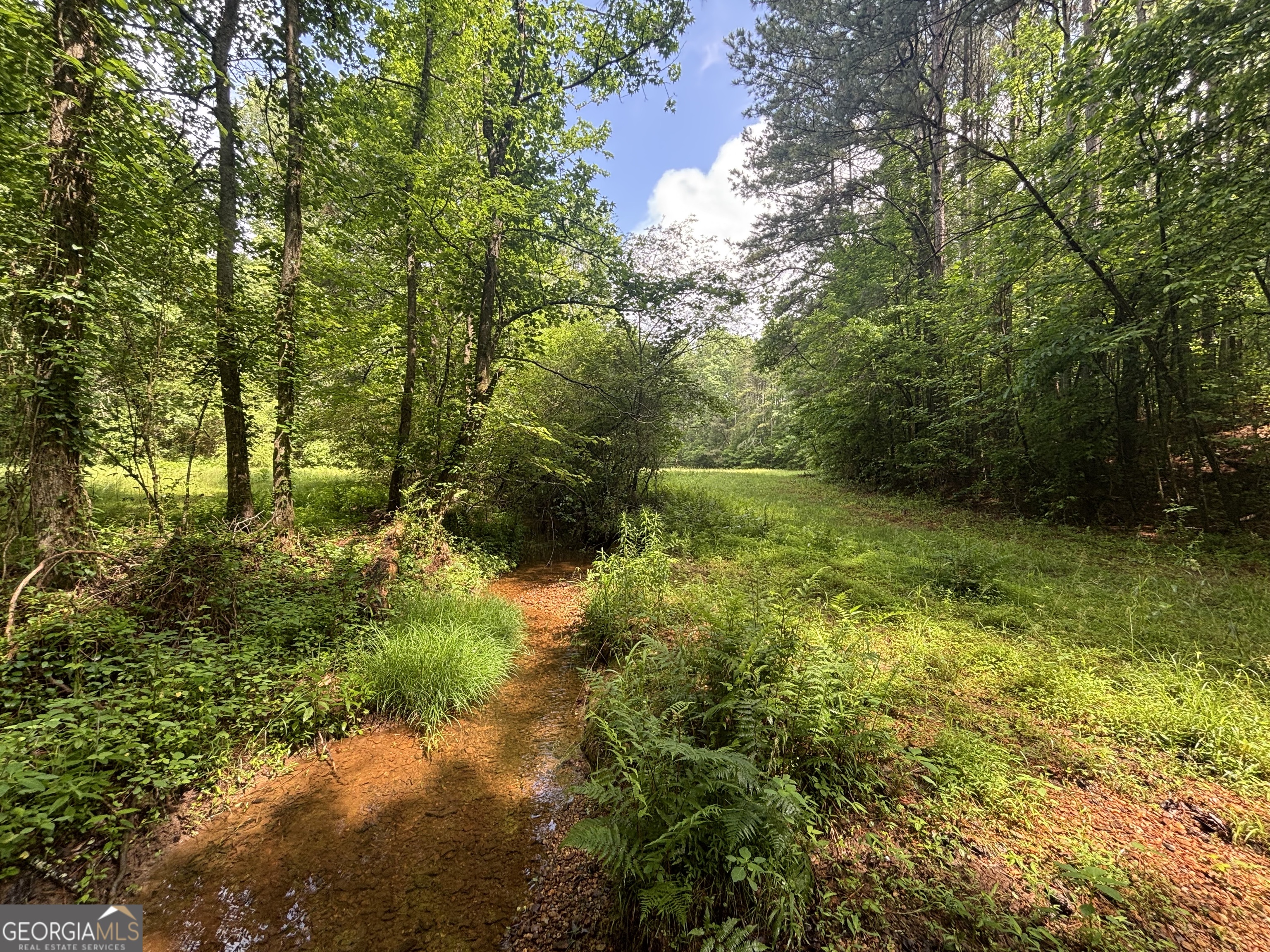 114 Addington Lane, Unit 5 Waleska, GA 30183 - Photo 25 of 31 a view of outdoor space and trees all around