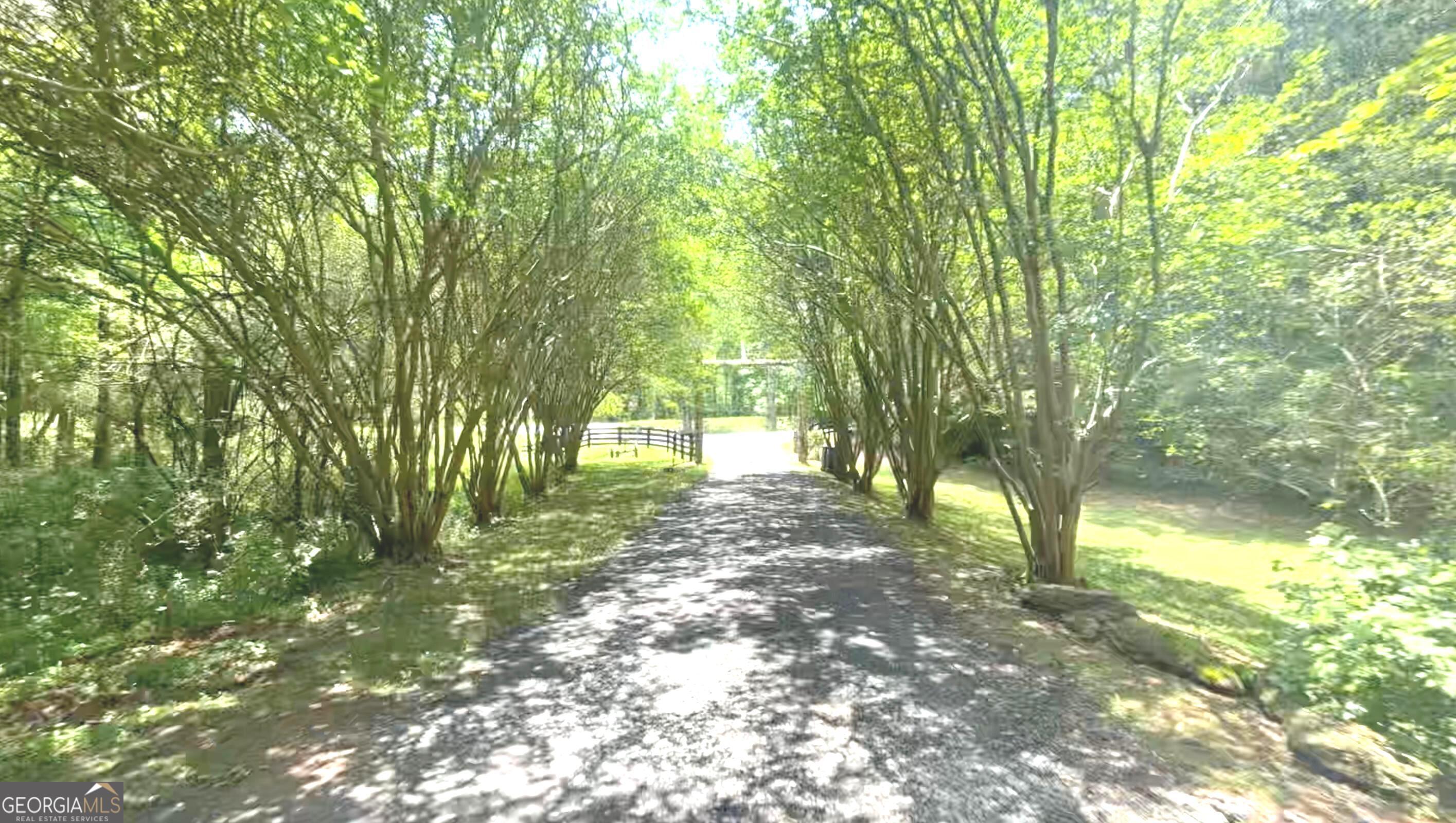 114 Addington Lane, Unit 5 Waleska, GA 30183 - Photo 25 of 35 a view of a trees in a yard