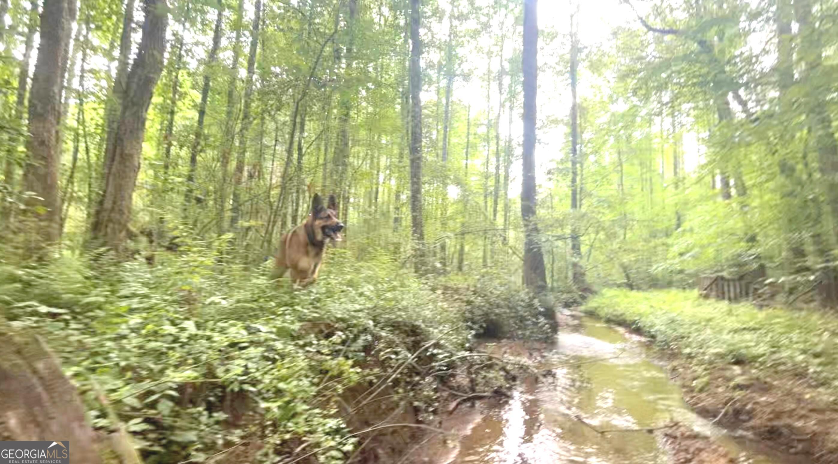114 Addington Lane, Unit 5 Waleska, GA 30183 - Photo 29 of 35 a bathroom with a bathtub and shower