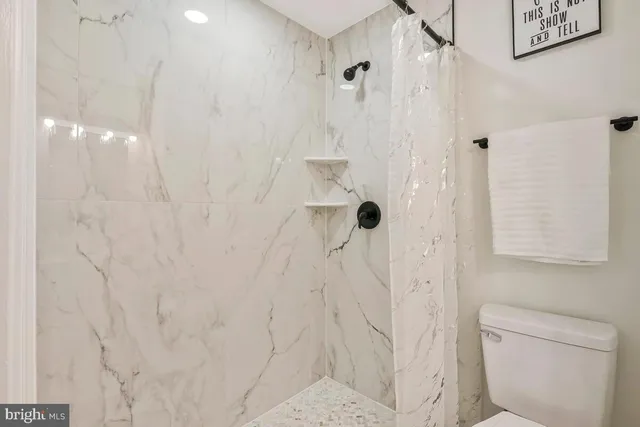 a bathroom with a shower and a toilet