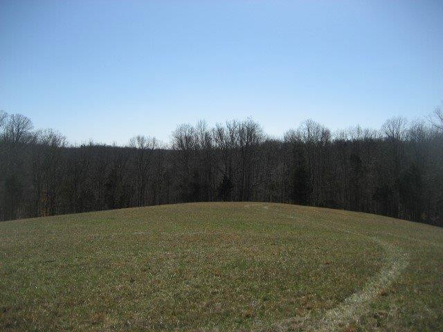 7890 Timber Creek Road Lawrenceburg, KY 40342 - Photo 5 of 23 Photo 5