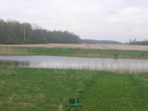 330 West Harrington Road Peck, MI 48466 - Photo 6 of 9 283659-5.JPG
